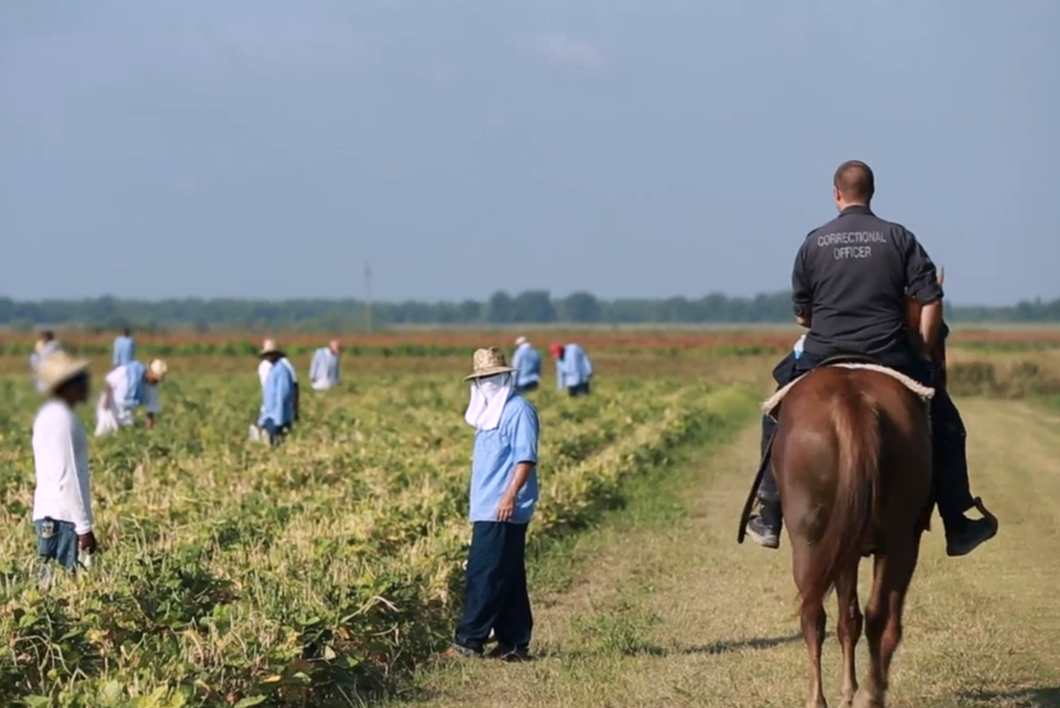 Alabama Inmate Labor System Challenged as Modern-Day Slavery