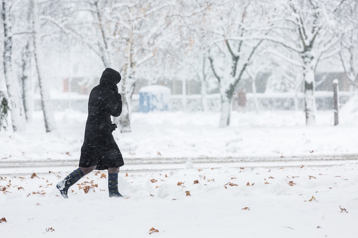 Arctic Blast Sweeps Alabama, Bringing Frigid Temperatures and Strong Winds