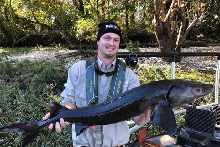 Go Fish Education Center’s Noble Mission: Reviving the Extinct Lake Sturgeon Species in Georgia