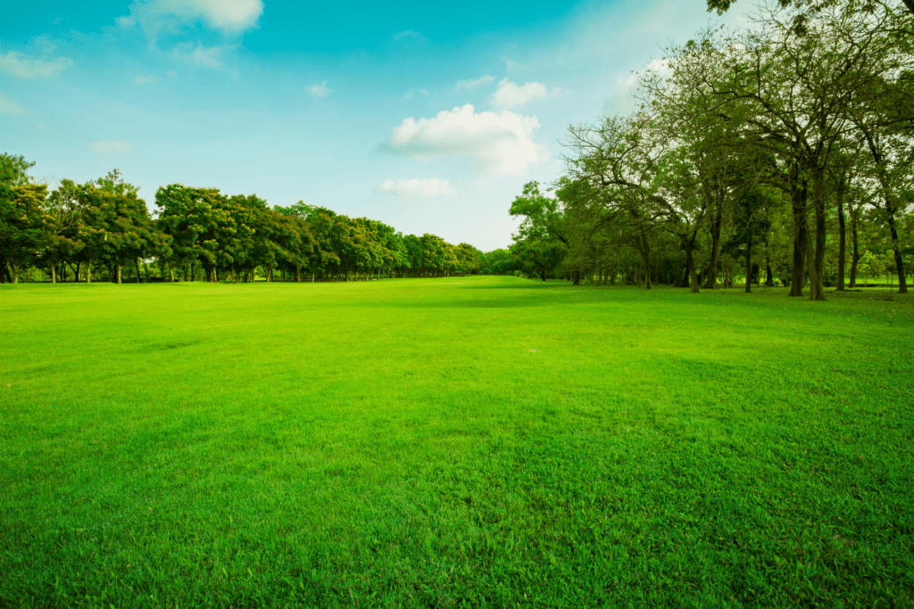 Does Texas Limit The Amount Of Land People Can Buy?