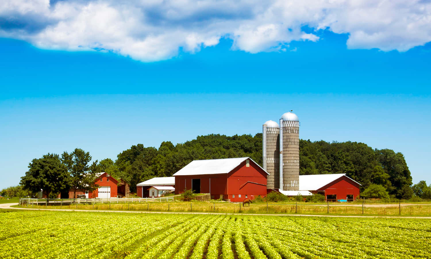 More than $5.5 million being awarded to protect NY state farms