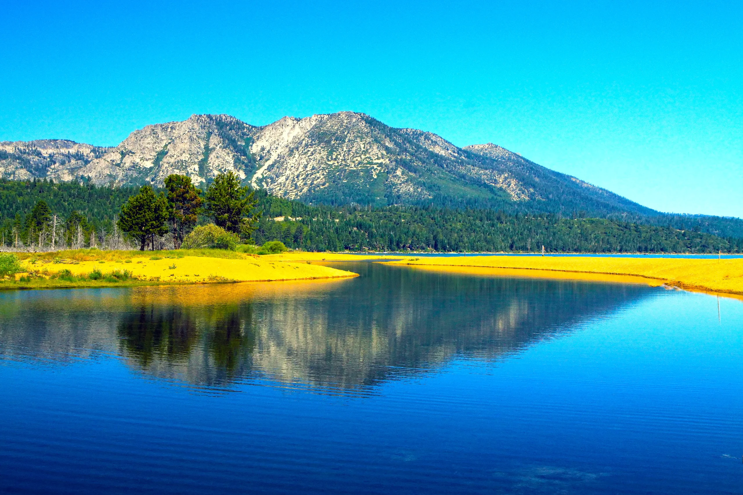 Huge Win for Nature: Black-Led Team Adds 650 Acres by Lake Tahoe!”