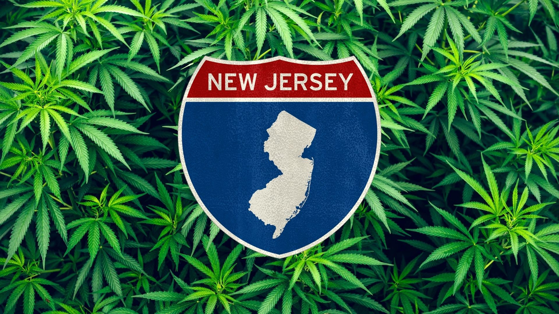 New Jersey Cannabis Program Update 1/9/2024