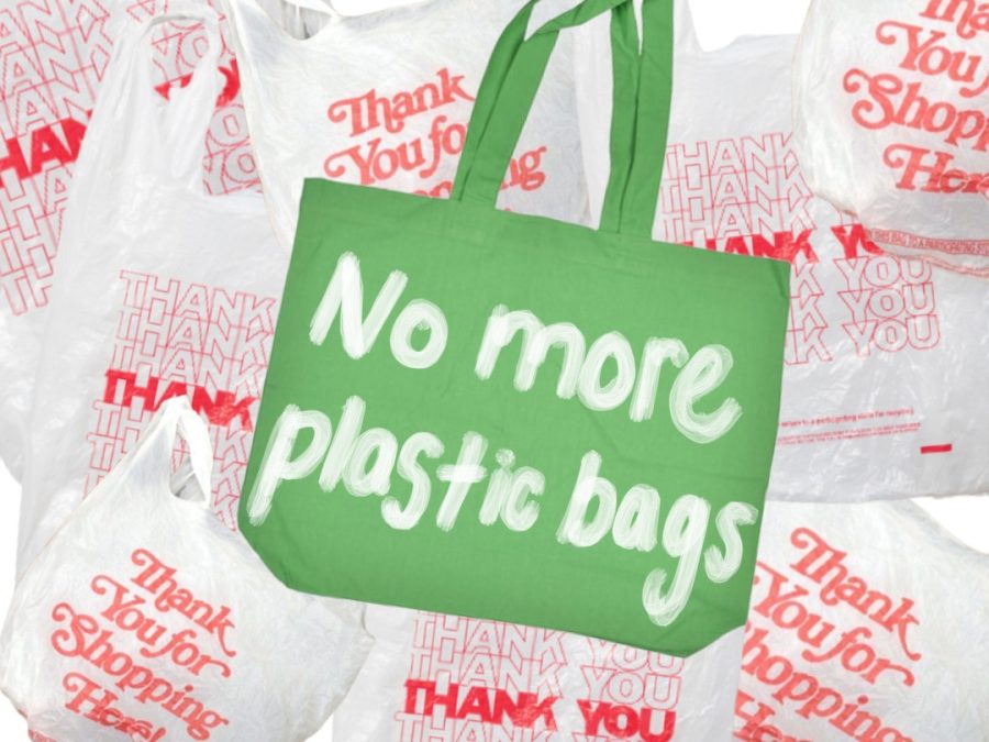 New Jersey Plastic Bag Ban Stirs Public Debate on Environmental Conservation