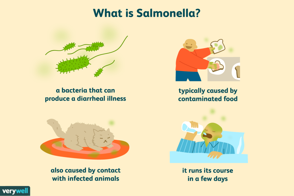 ALERT: Central Texas, Be Aware That Salmonella Is On The Rise!